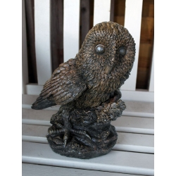 Umber Tawny Owl